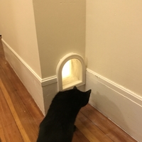 Cat Door - Thumbnail 1