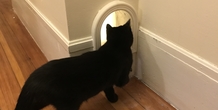 Image 162397