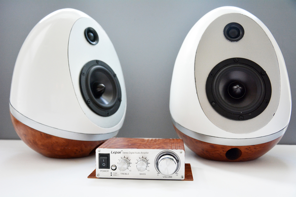 Speaker Eggs - 3D Printing Build
