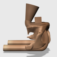 Human skull antique - Thumbnail 4