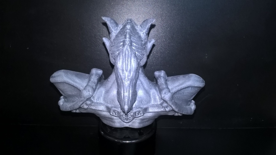 Demon Bust 3D Print 162548