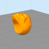Skull Ring - Thumbnail 2