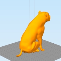 Pitbull - Behaved Pose - Thumbnail 3
