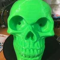Small Skull with LED eyes 3D Printing 163144