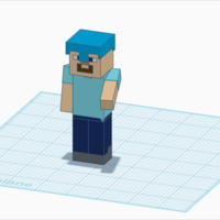 Small STEVE with an attachable arm, head, and helmet 3D Printing 163342