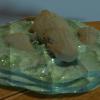 crocodile  - Thumbnail 2