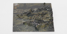 Image 163444