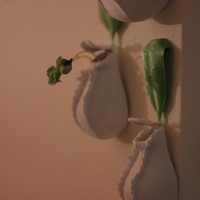 Nepenthes wall decoration - Thumbnail 4