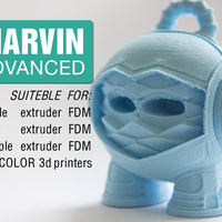 Small Marvin Advanced 3D Printing 16405