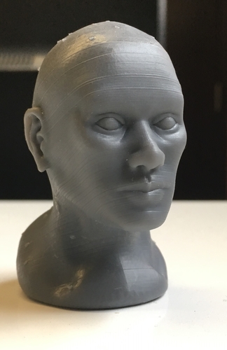 Man 3D Print 164381