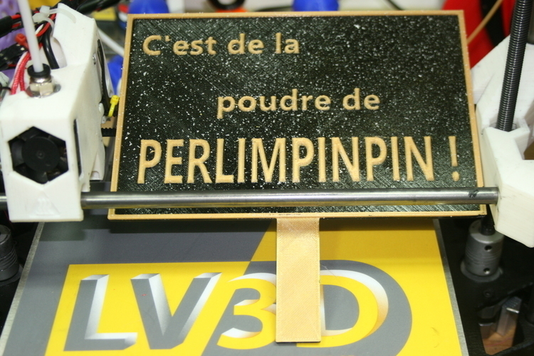 C'est de la poudre de perlimpinpin 3D Print 164815