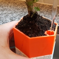 Self-watering Planter 3 - Thumbnail 2