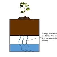 Self-Watering Planter - Thumbnail 5