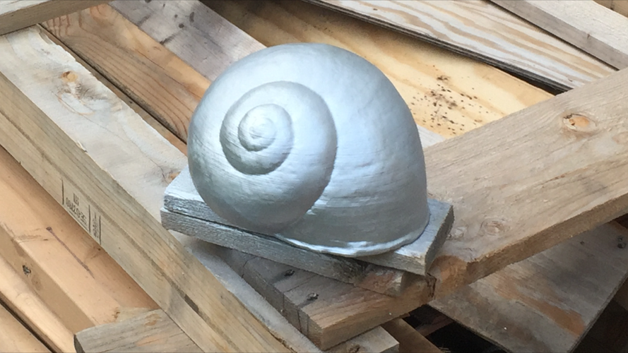 Snail Shell 3D Print 165322