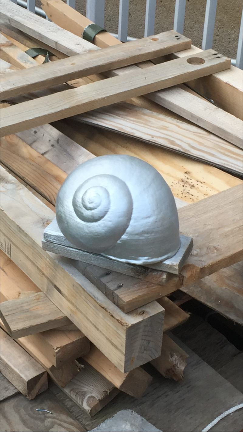 Snail Shell - Pinshape