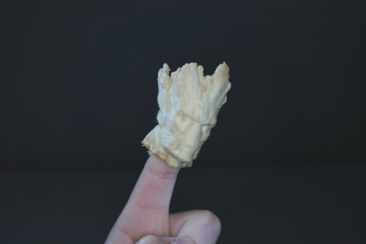 Fingerspop Groot 3D Print 165611