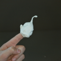 Small Fingerspop Leyo 3D Printing 165615