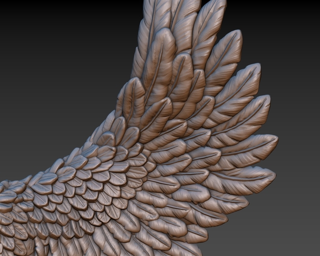 Wings 3D Print 165726