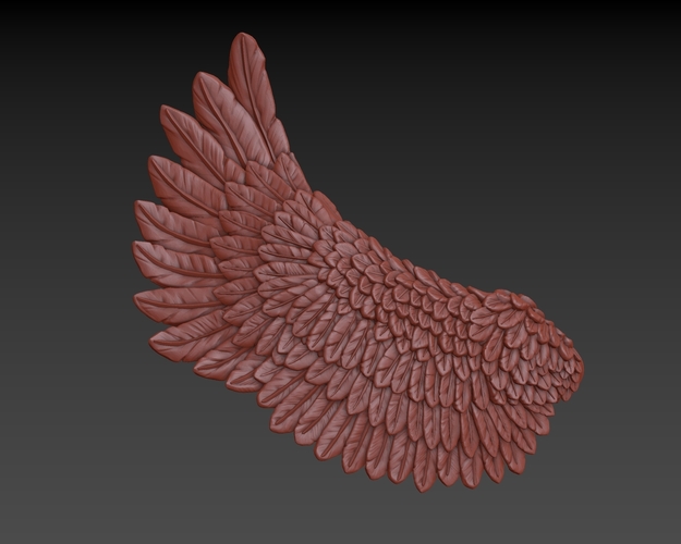 Wings 3D Print 165727