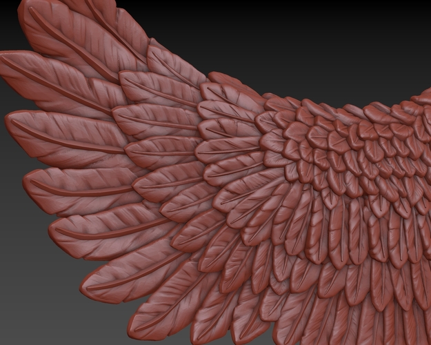 Wings 3D Print 165730