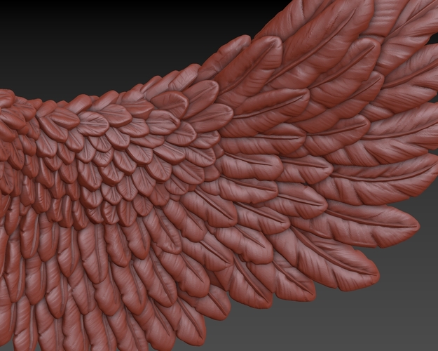 Wings 3D Print 165731