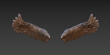 Image 165733