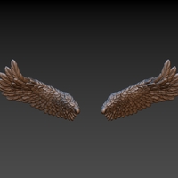 Wings - Thumbnail 10