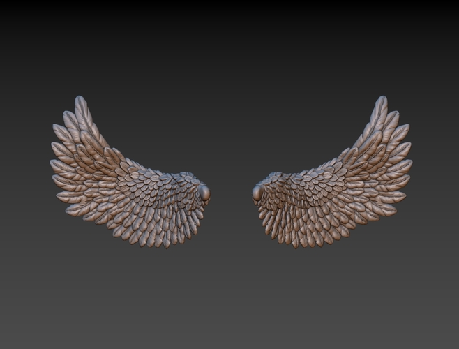 Wings 3D Print 165734