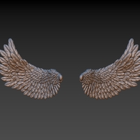 Wings - Thumbnail 11