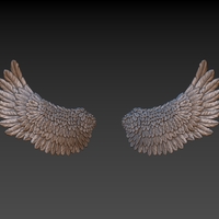 Wings - Thumbnail 12