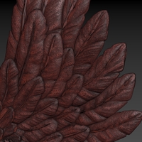 Wings - Thumbnail 14