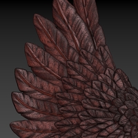 Wings - Thumbnail 15