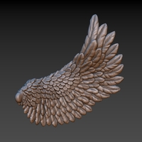 Wings - Thumbnail 16