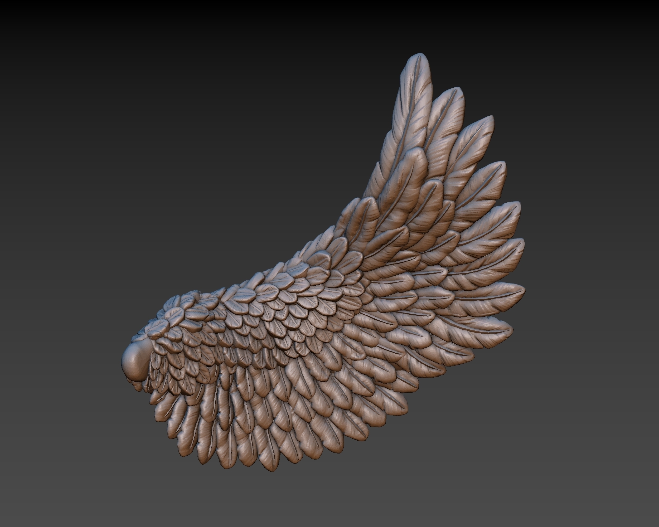 3d models wings