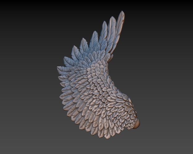 Wings 3D Print 165741