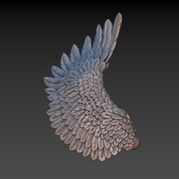 Wings - Thumbnail 18