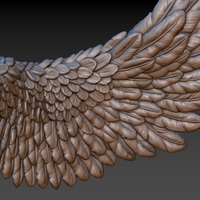 Wings - Thumbnail 20