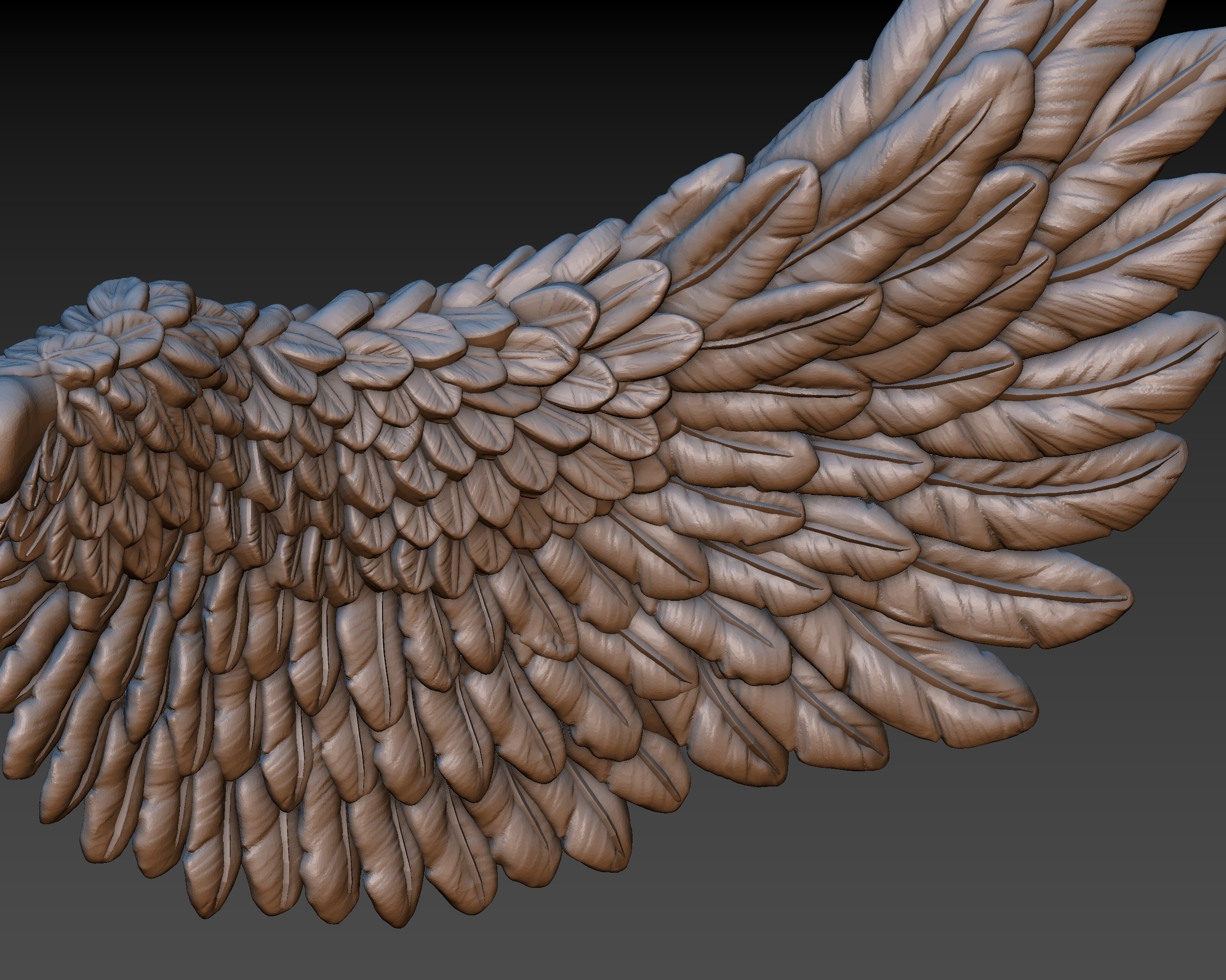 3d models wings