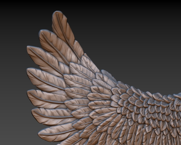 Wings 3D Print 165745