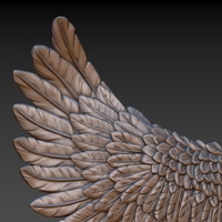 Wings - Thumbnail 21