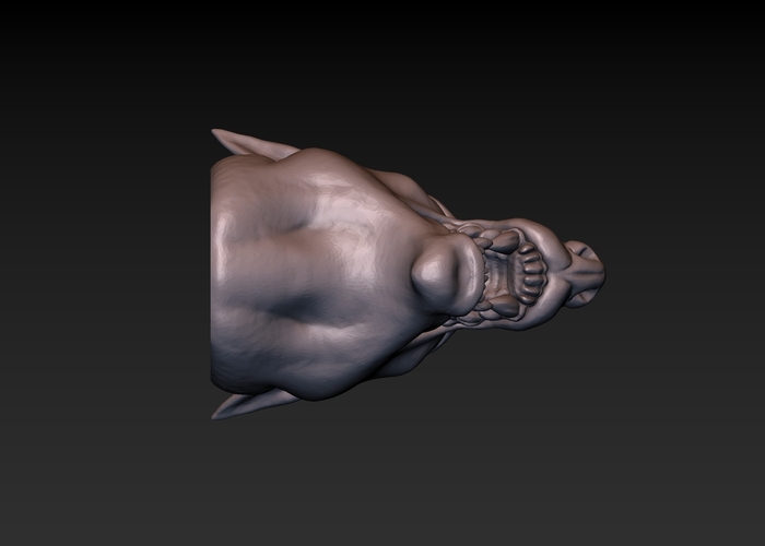 Dog head 3D Print 165791