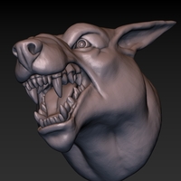 Dog head - Thumbnail 13