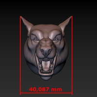 Dog head - Thumbnail 14