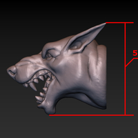 Dog head - Thumbnail 15