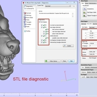 Dog head - Thumbnail 17