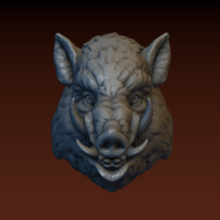 Boar head - Thumbnail 2