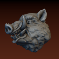 Boar head - Thumbnail 5