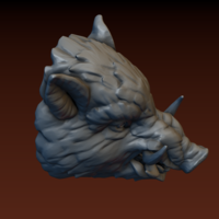 Boar head - Thumbnail 6