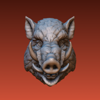 Boar head - Thumbnail 11