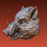 Boar head - Thumbnail 12